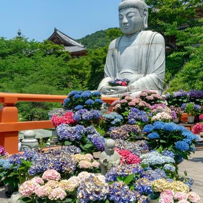 お地蔵様を囲むように並べられた紫陽花とその向こうに見える手のひらに紫陽花を抱えた大仏様の素材