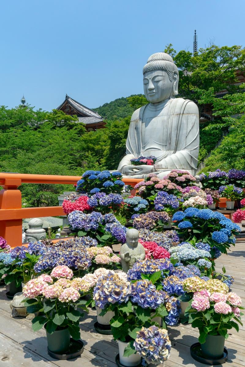 お地蔵様を囲むように並べられた紫陽花とその向こうに見える手のひらに紫陽花を抱えた大仏様の写真