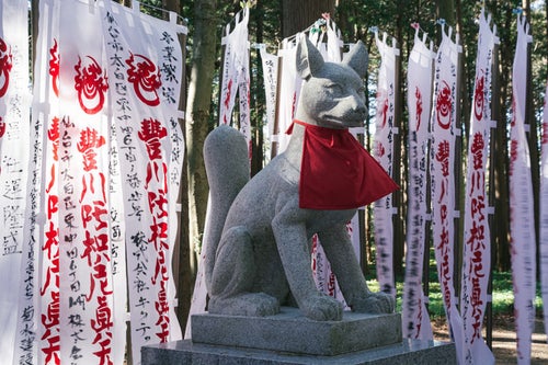 奉納された幟に囲まれた狐の像の写真