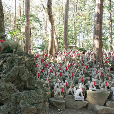 たくさんの狐像が並ぶ豊川稲荷の霊狐塚の写真