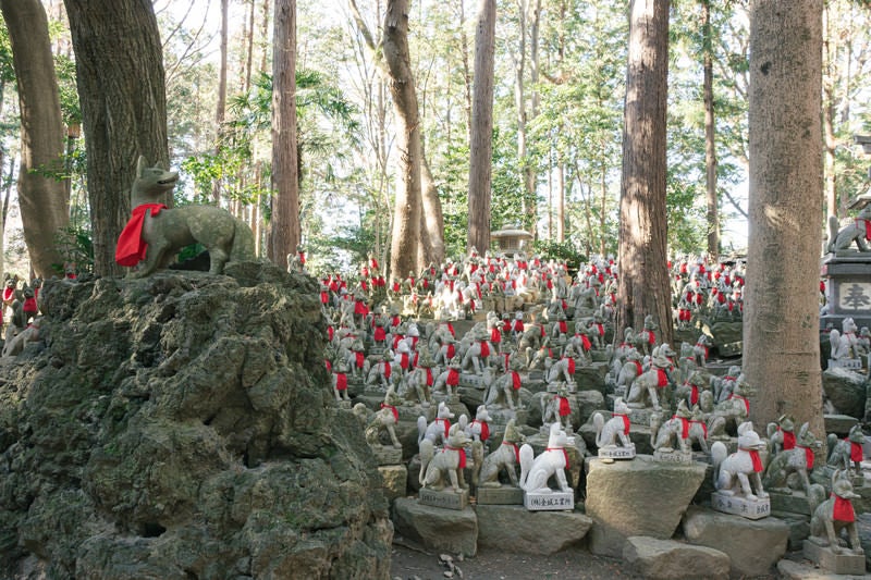 たくさんの狐像が並ぶ豊川稲荷の霊狐塚の写真