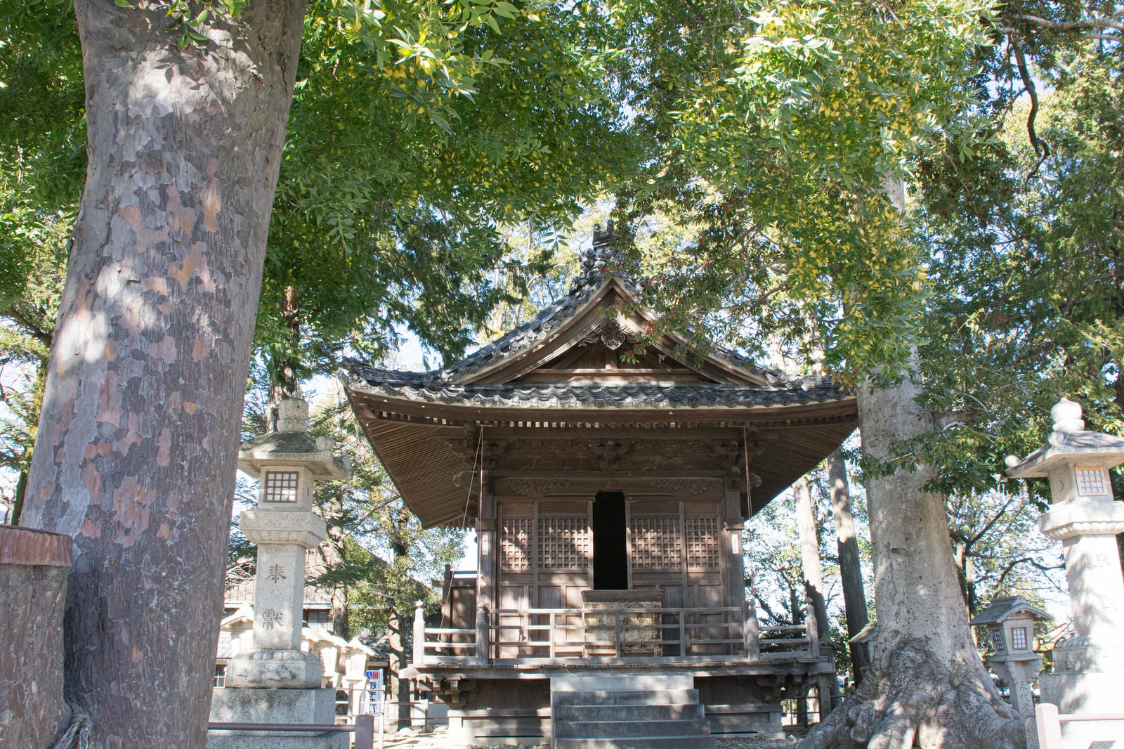 「豊川稲荷境内にある木に囲まれた鎮守堂」の写真