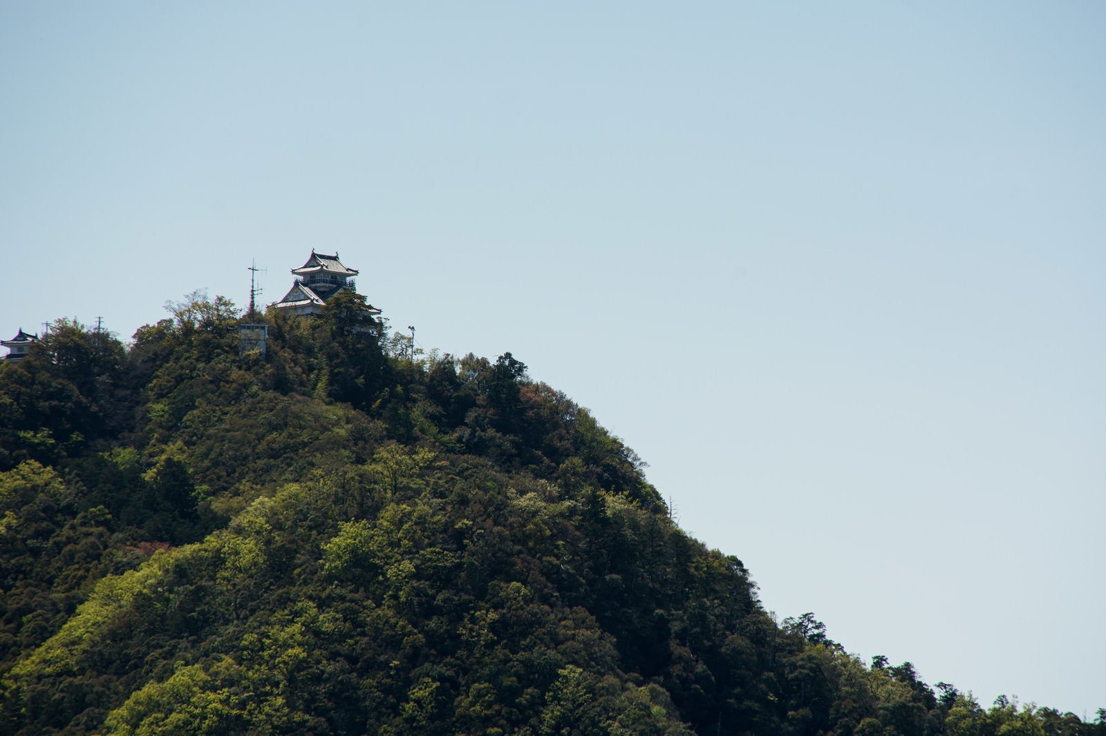 「金華山の上に建つ岐阜城」の写真