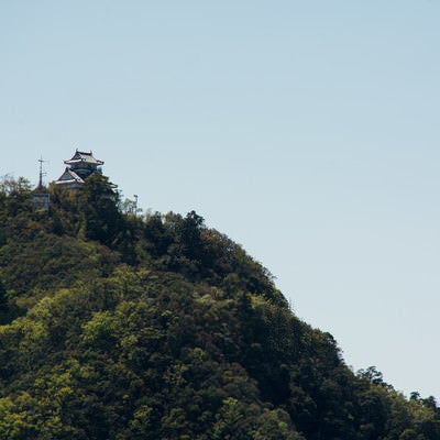金華山の上に建つ岐阜城の写真