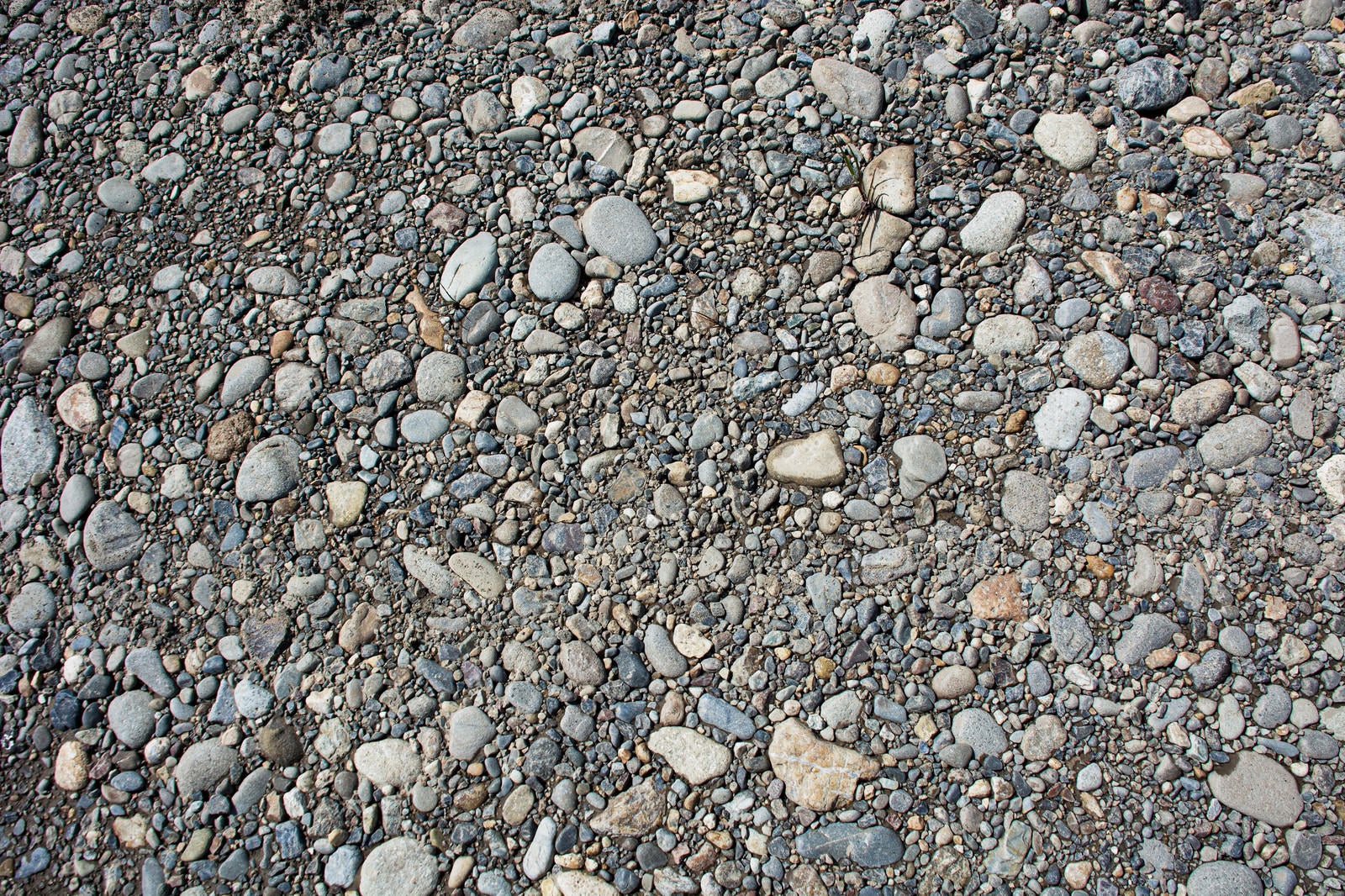 「無数の小石が埋まる（テクスチャー）」の写真