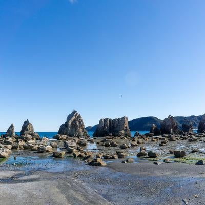 干潮時の海岸に無数に広がる橋杭岩の写真