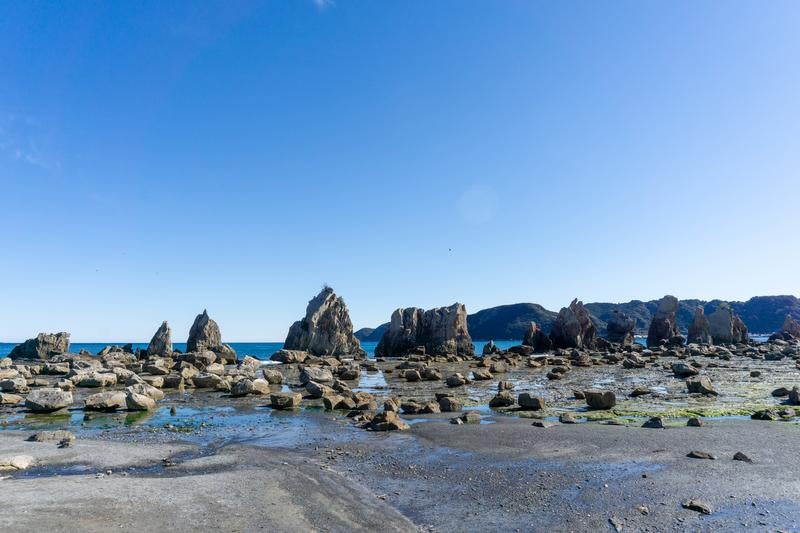 干潮時の海岸に無数に広がる橋杭岩の写真