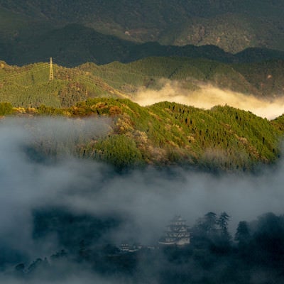 流れる雲海の中にうっすらと姿を見せる郡上八幡城の写真