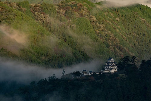 霧が晴れ山上に姿を現した郡上八幡城の写真