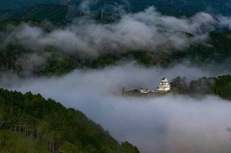 緑豊かな山々と乳白色の雲海に囲まれる郡上八幡城の写真
