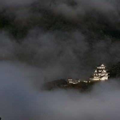 雲海に囲まれ幻想的な姿を見せる郡上八幡城の写真