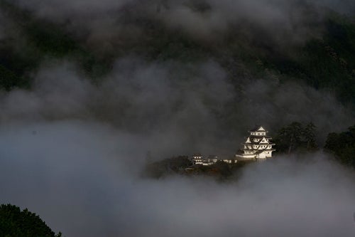 雲海に囲まれ幻想的な姿を見せる郡上八幡城の写真