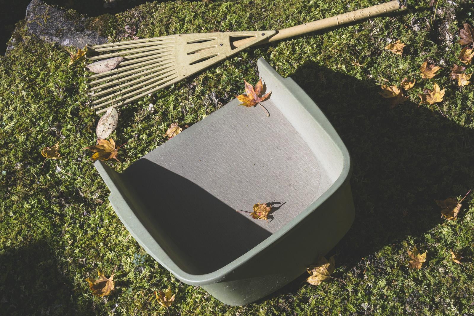 「苔の上に置かれた落ち葉のお掃除セット」の写真
