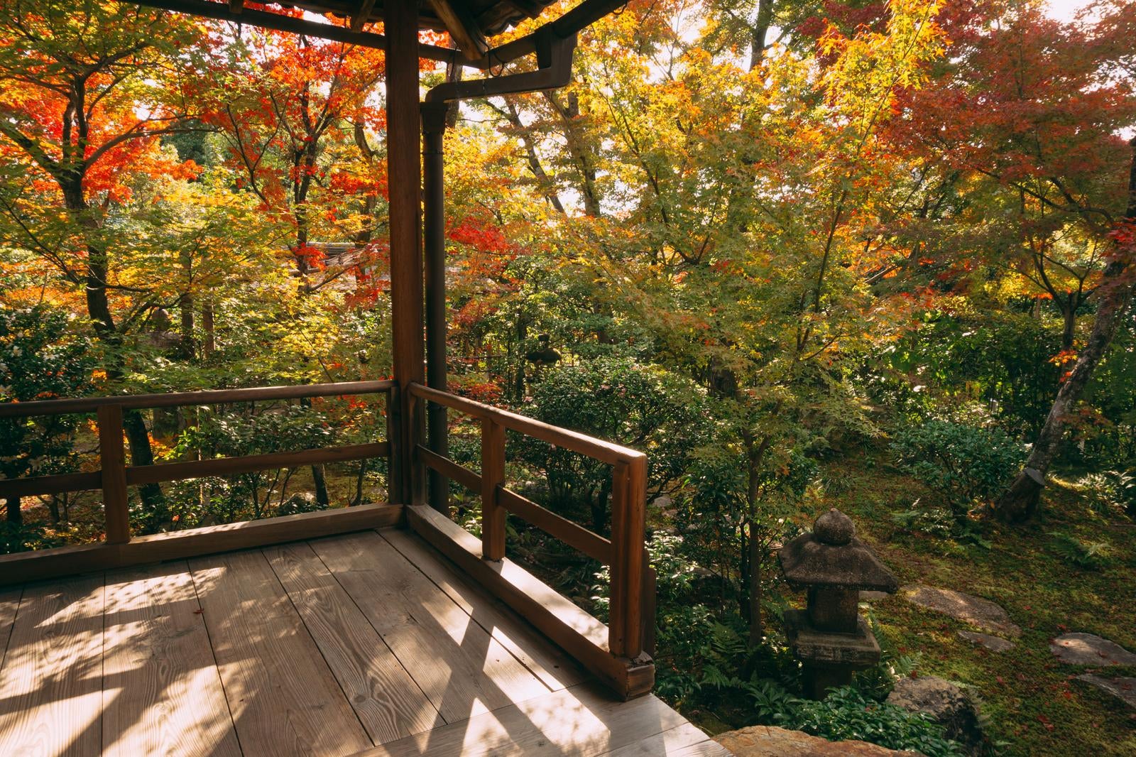 「濡れ縁の上から眺める秋に染まり始めた庭」の写真