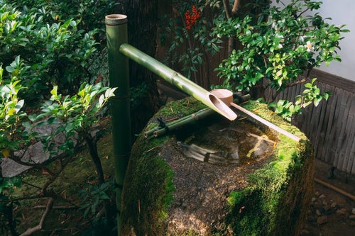 庭の隅で水をたたえる苔の美しい手水鉢の写真
