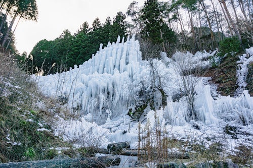 組み上げられた丸太に水をかけて作られた湧水公園の氷瀑の写真