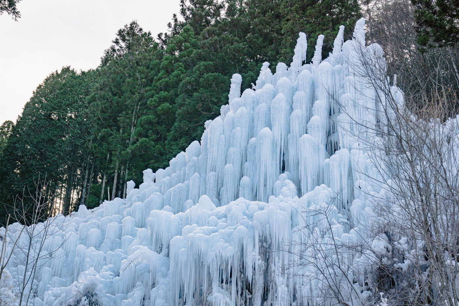 「おびただしい数の氷柱に圧倒される（湧水公園）」の写真