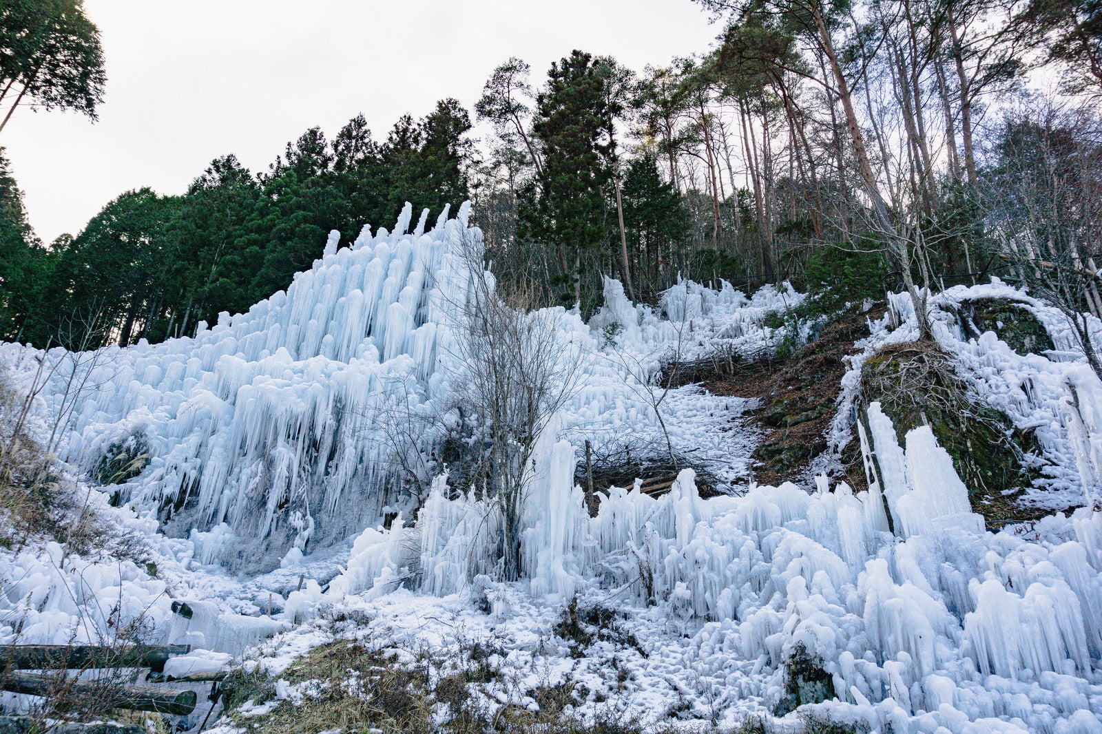 「小さな湧き水から斜面一杯にまで作られた氷瀑（湧水公園）」の写真