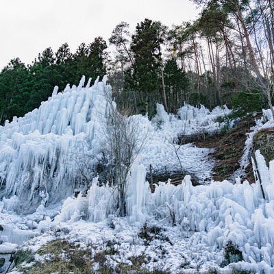 小さな湧き水から斜面一杯にまで作られた氷瀑（湧水公園）の写真