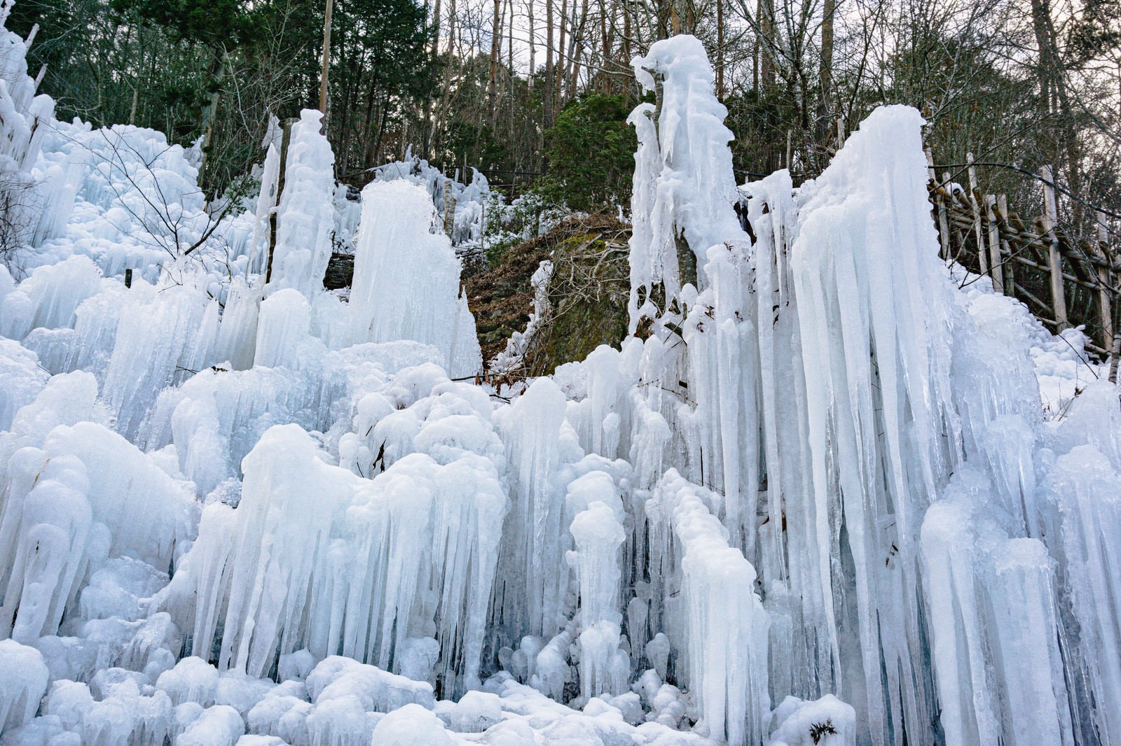 「周囲の木々も凍り付いて沢山の氷柱を身にまとう湧水公園のアイスフォール」の写真