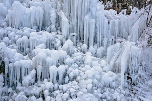近くの木の枝も取り込み広がっていく氷の世界の写真