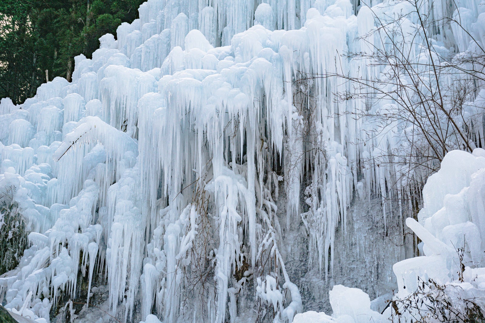 「鋭くとがった湧水公園の氷柱」の写真