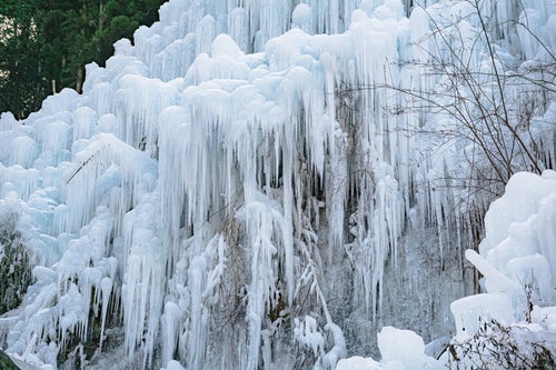 鋭くとがった湧水公園の氷柱の写真