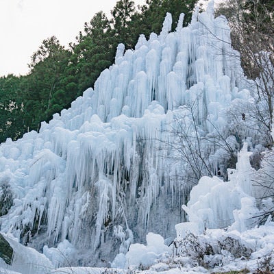 湧水公園の氷瀑の様子の写真