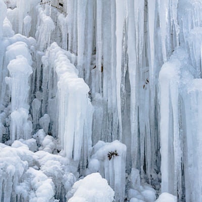 湧水公園の氷柱の写真