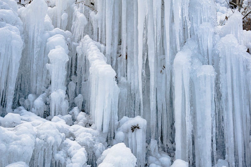 湧水公園の氷柱の写真