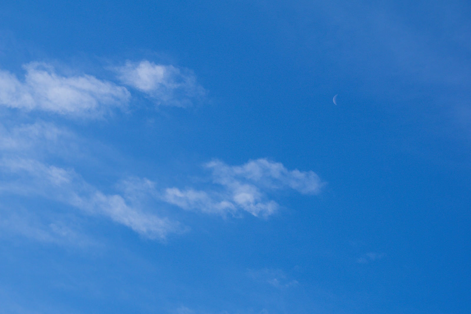 「薄い雲とうっすら浮かぶ細い月」の写真