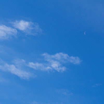 薄い雲とうっすら浮かぶ細い月の写真