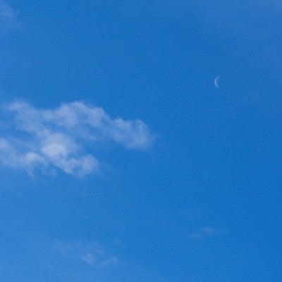 青空に浮かぶはかなげな月の写真