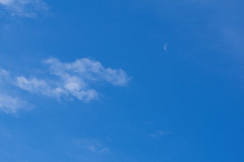 青空に浮かぶはかなげな月の写真