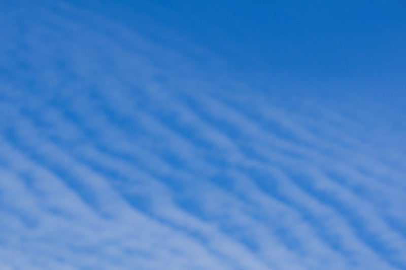 青空に薄い波のように広がる巻積雲の写真