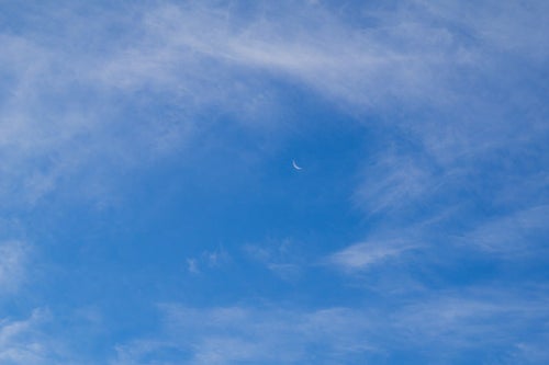 朝の空に残る三日月の写真