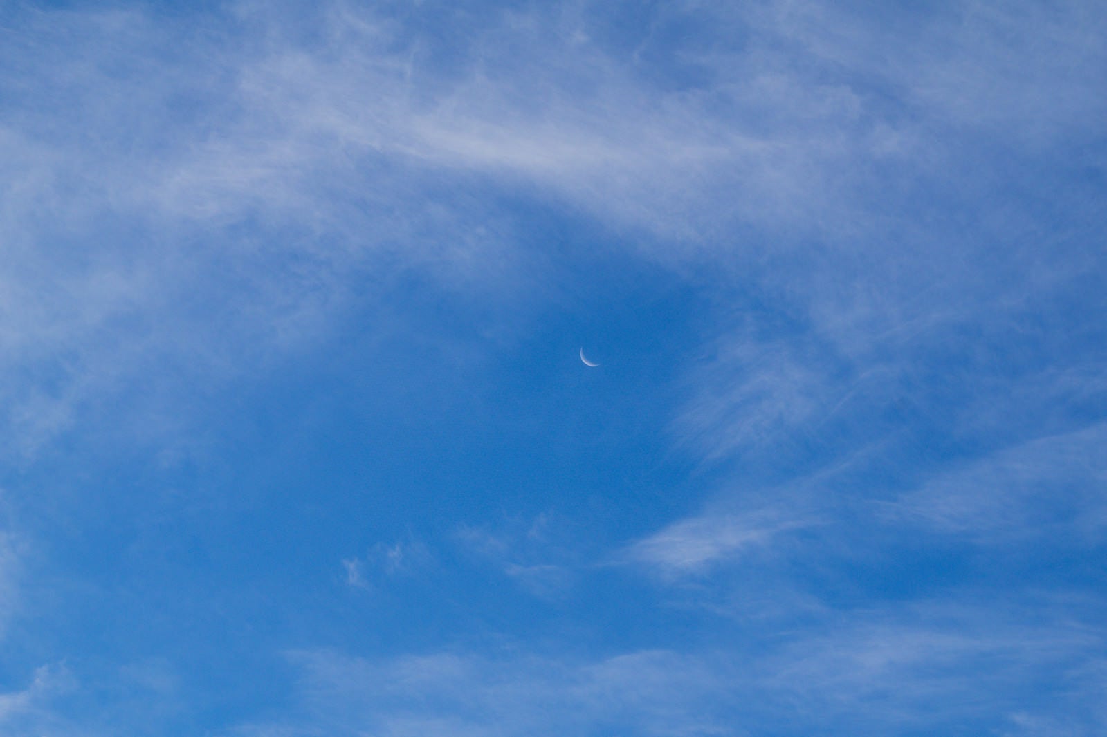 「薄い雲の合間に顔を出した朝の三日月」の写真