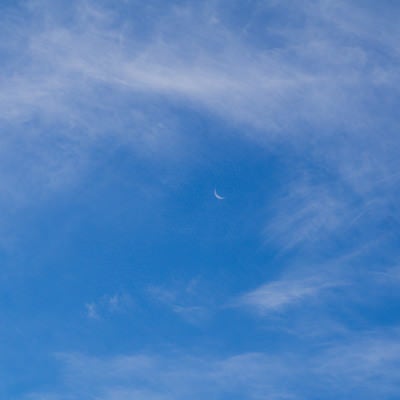 薄い雲の合間に顔を出した朝の三日月の写真
