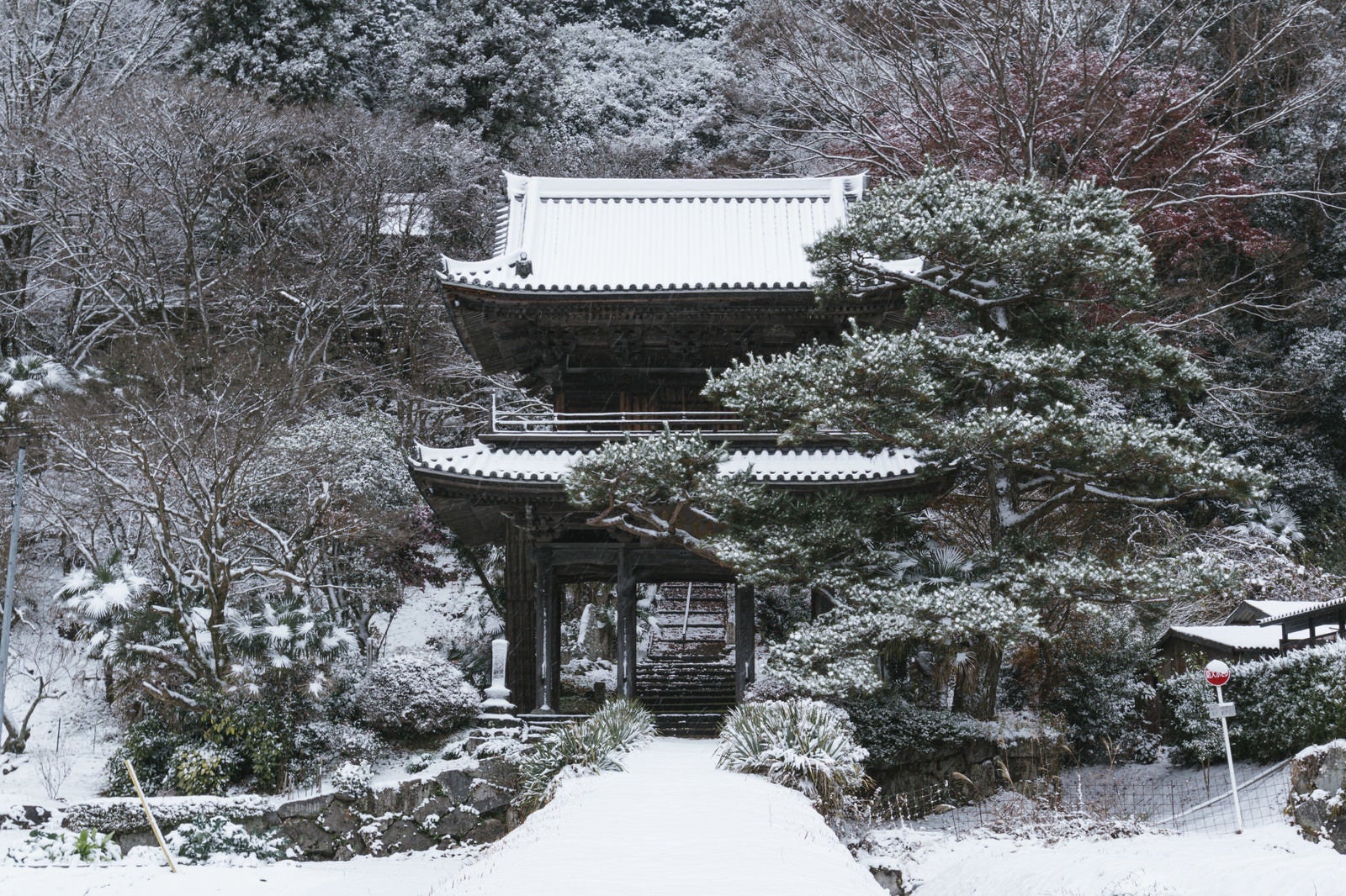 「雪の中静かにたたずむ大鷲院山門（愛知県豊田市）」の写真