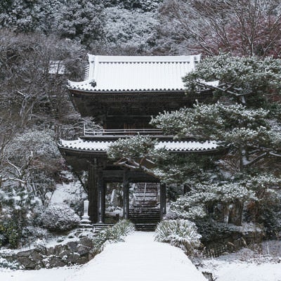 雪の中静かにたたずむ大鷲院山門（愛知県豊田市）の写真