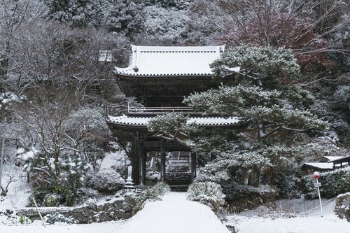 雪の中静かにたたずむ大鷲院山門（愛知県豊田市）の写真