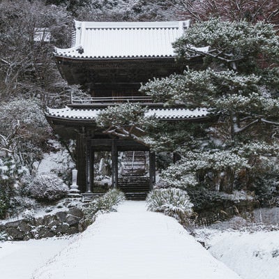 雪が降り続く大鷲院山門付近（愛知県豊田市）の写真