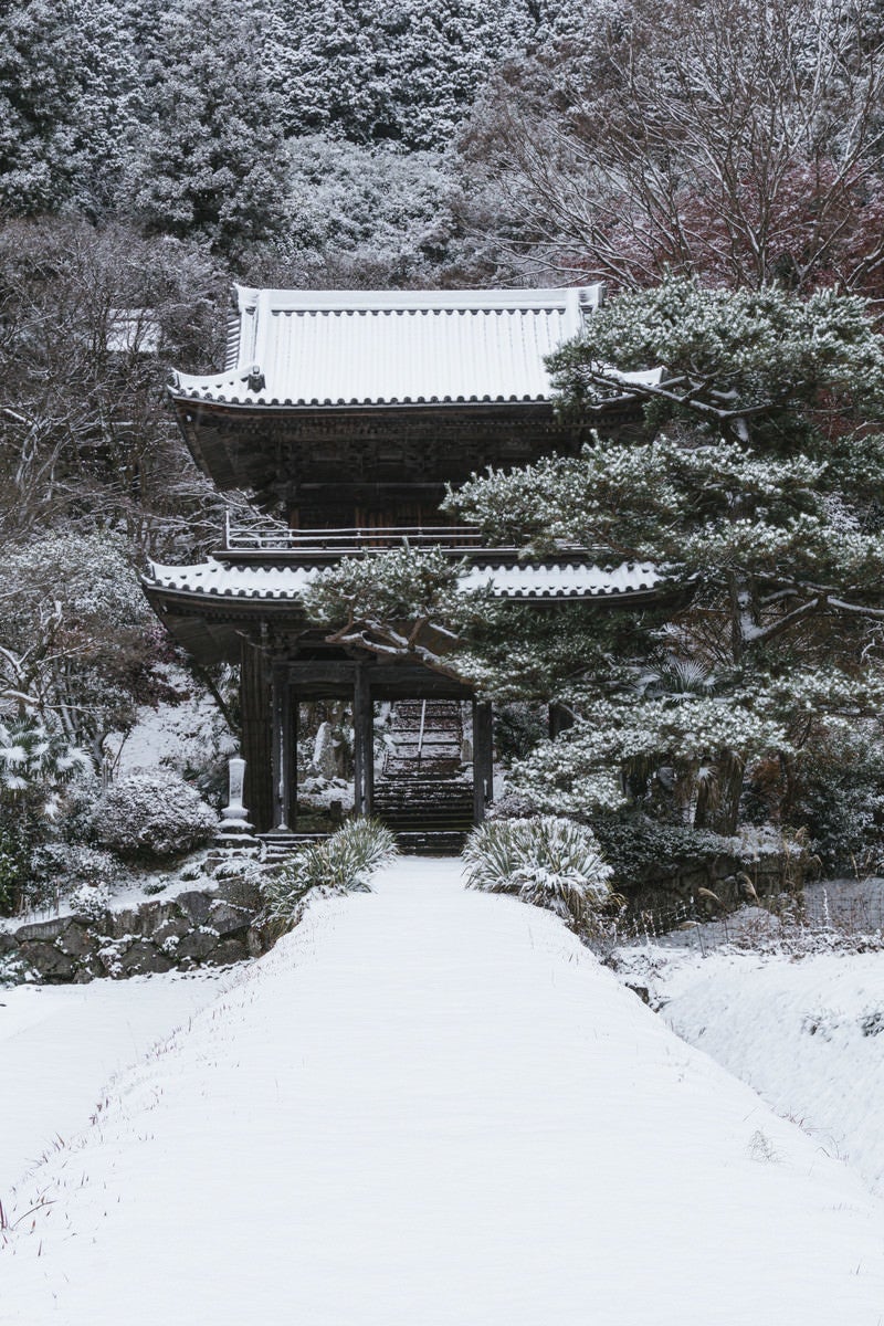 「雪が降り続く大鷲院山門付近（愛知県豊田市）」の写真