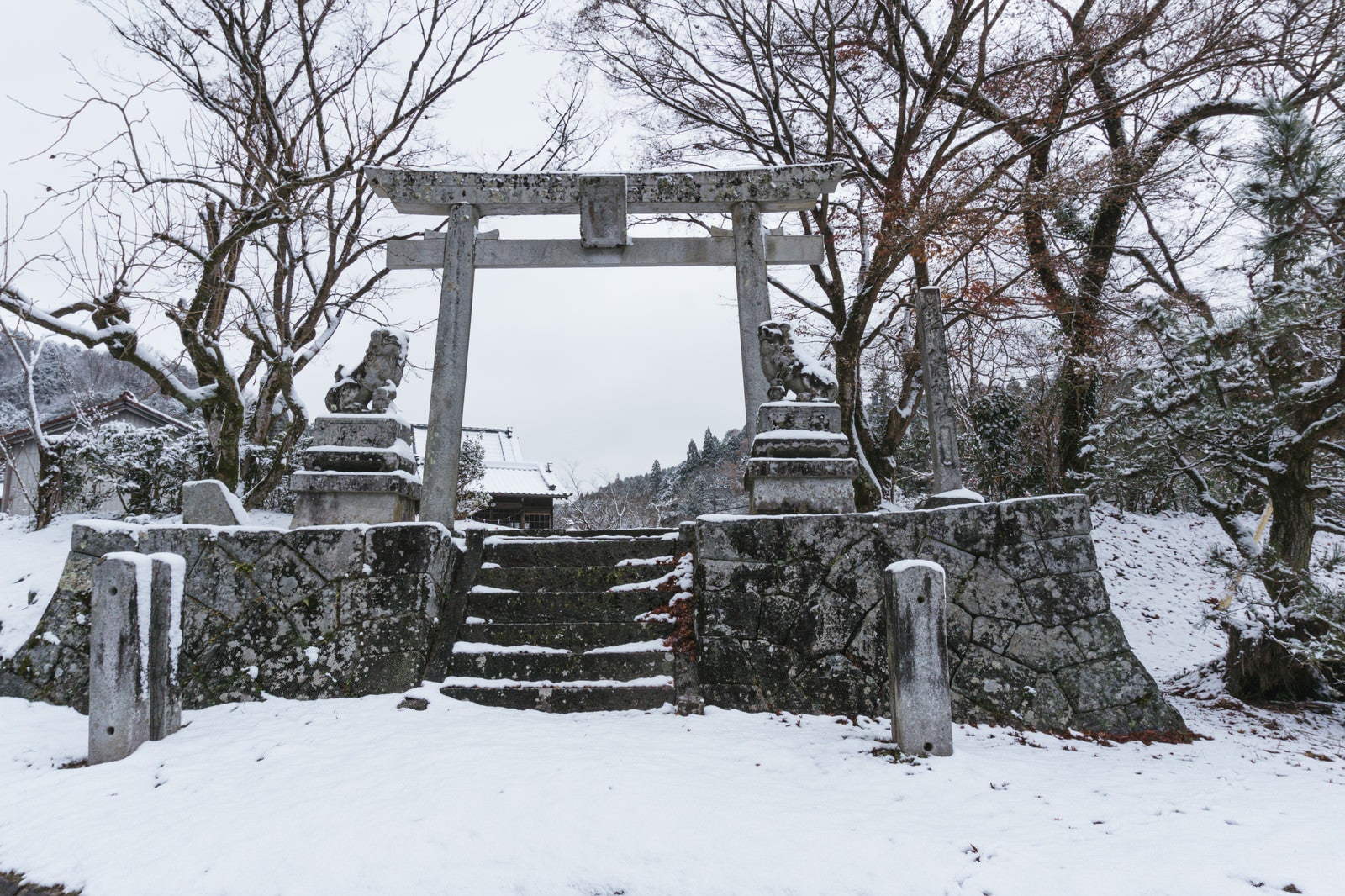 「雪の積もる八幡神社の石段と雪をかぶる狛犬と鳥居」の写真