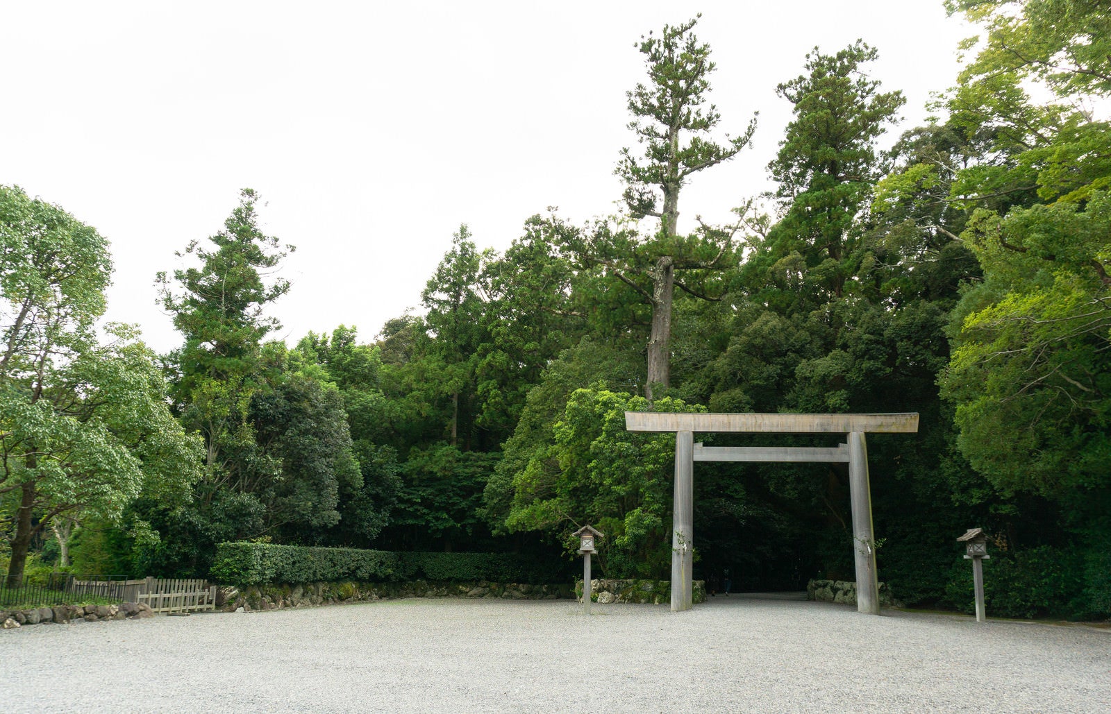 「緑に囲まれて建つ外宮一の鳥居（豊受大神社）」の写真