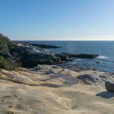 千畳敷の砂岩層と青い海が広がる岩場海岸の写真