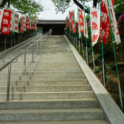 御開帳を知らせる旗が並ぶ山門へと続く階段の写真