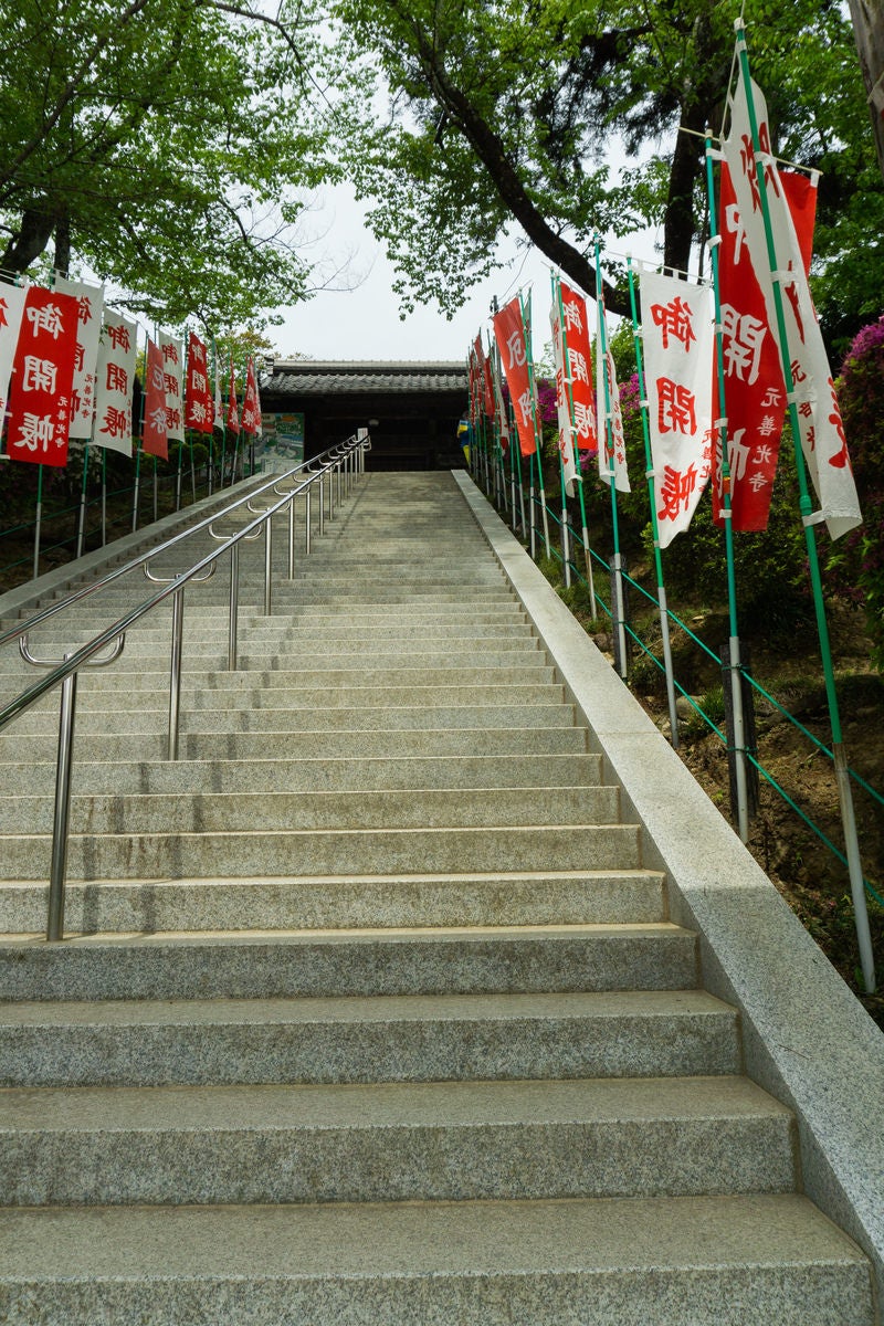 「御開帳を知らせる旗が並ぶ山門へと続く階段」の写真