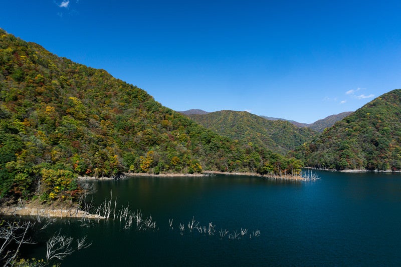 秋晴れの徳山湖（とくやまこ）の写真
