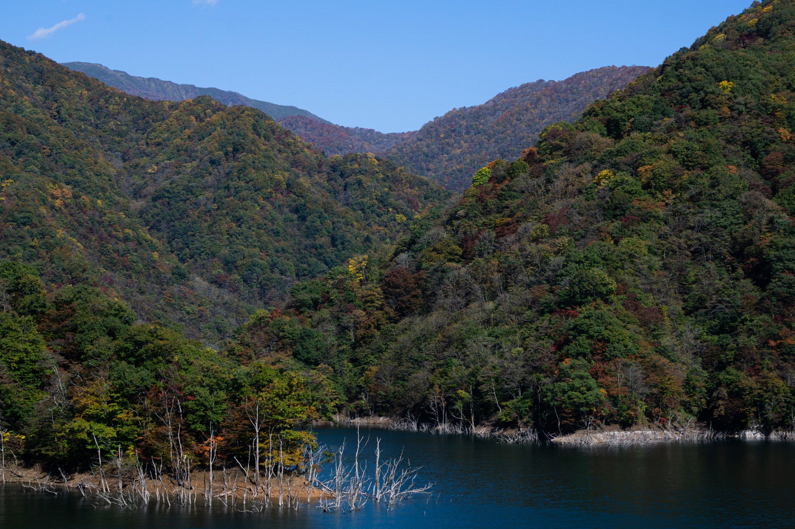 「徳山湖を囲み連なる紅葉した山」の写真